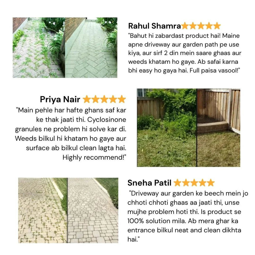 Cyclosinone Herbicide Granules (🔥BUY 1 Pack GET 1 Pack FREE ) - Style Elevates
