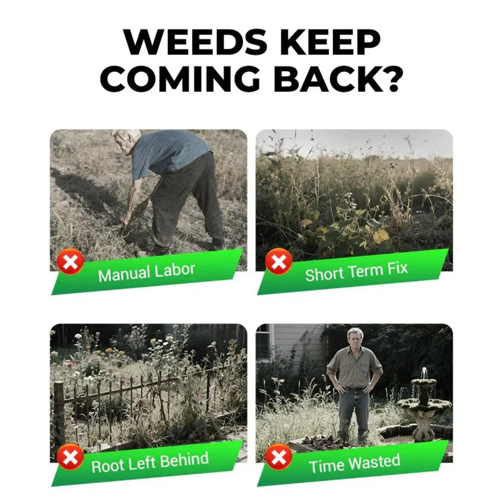 Cyclosinone Herbicide Granules (🔥BUY 1 Pack GET 1 Pack FREE ) - Style Elevates