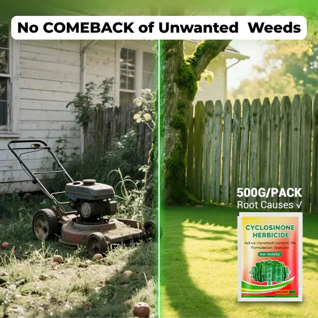 Cyclosinone Herbicide Granules (🔥BUY 1 Pack GET 1 Pack FREE ) - Style Elevates