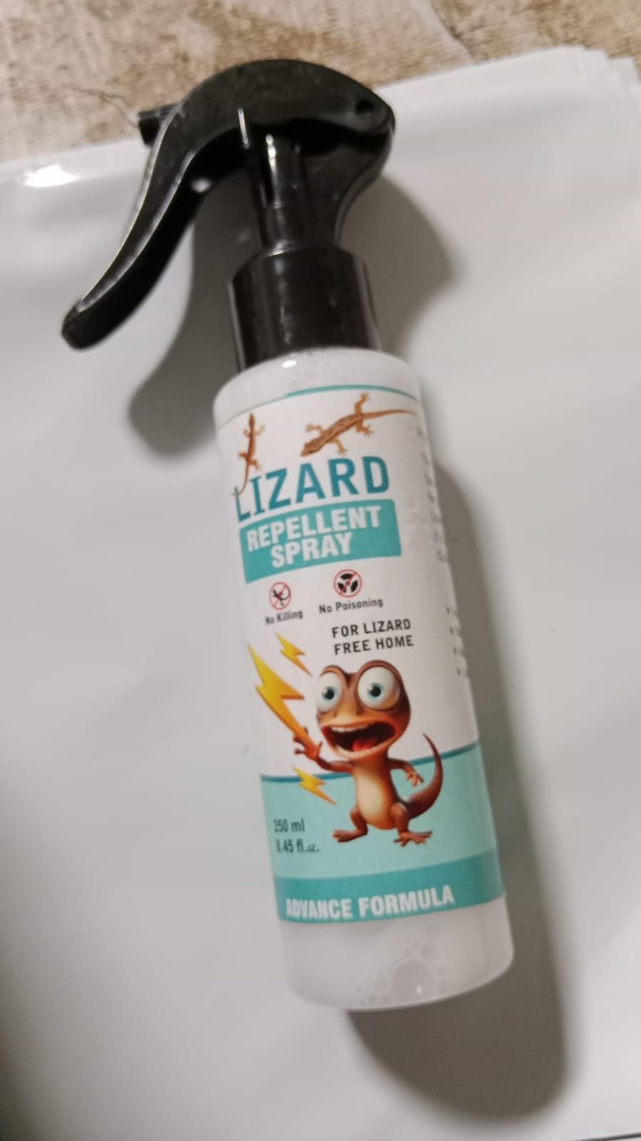 Lizard Repellent for Home Spray Pest Control 250ML (Pack of 2) - Style Elevates